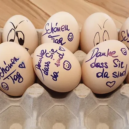 Frühstückspension Mittelkärnten