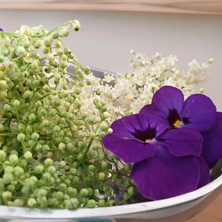 Bed & Breakfast Mittelkaernten