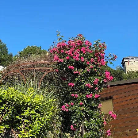 Bed & Breakfast Mittelkaernten