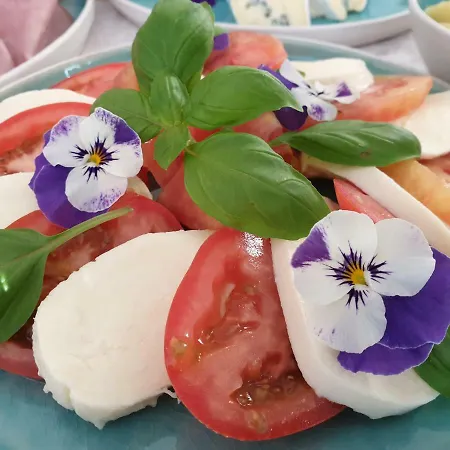 Mittelkaernten Bed & Breakfast 3*