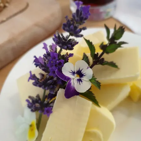 Bed & Breakfast Mittelkaernten Althofen (Carinthia)