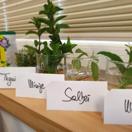 فندق مبيت وإفطار Mittelkaernten Althofen (Carinthia)