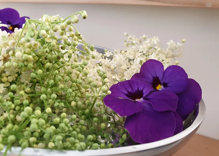 Bed & Breakfast Mittelkaernten