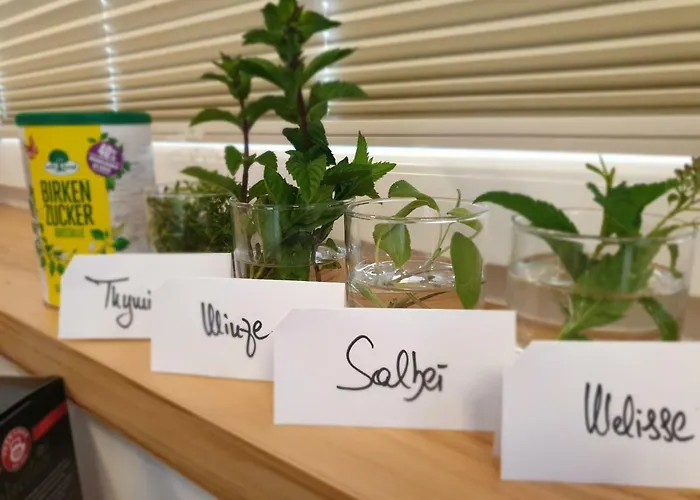 Bed & Breakfast Mittelkärnten Althofen (Carinthia)